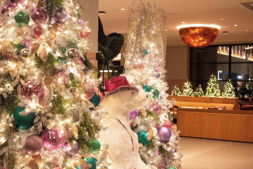 Downright Austin A Renaissance Hotel - photo 4