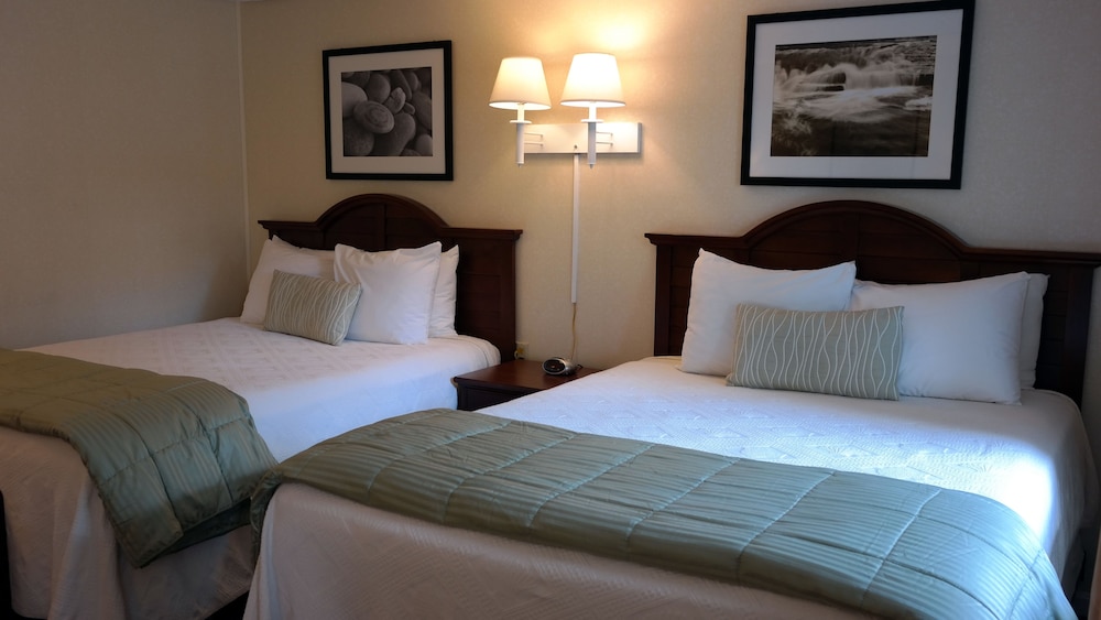 Moseley Cottage Inn & Town Motel - photo 6