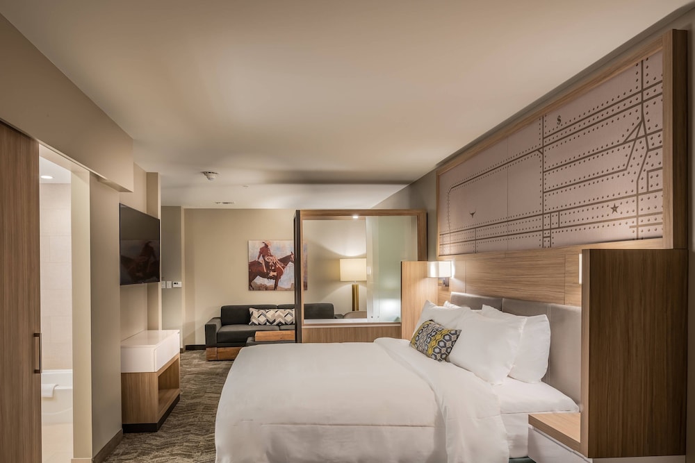 SpringHill Suites by Marriott Fort Worth Historic Stockyards - photo 13