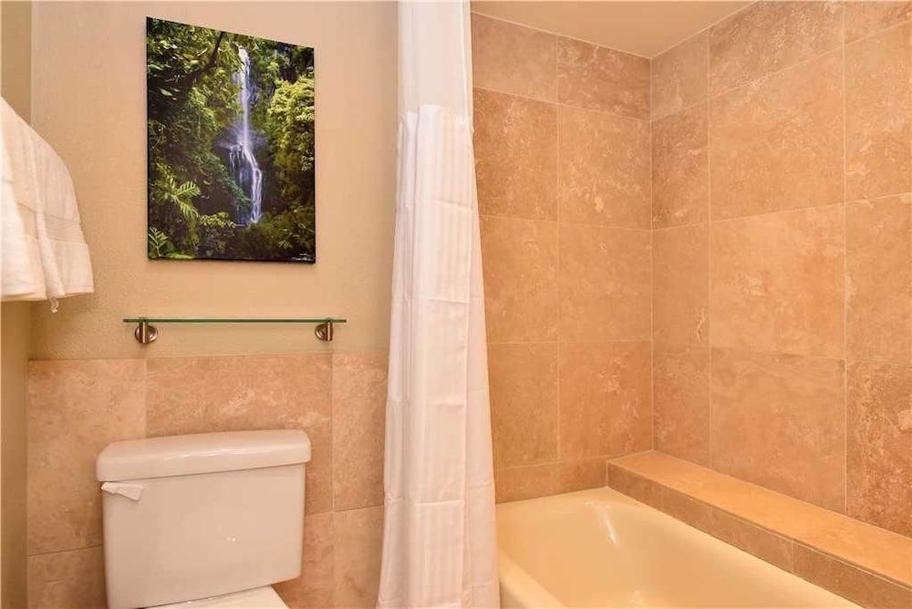 Mahana Resort #304 1 Br Condo - photo 7