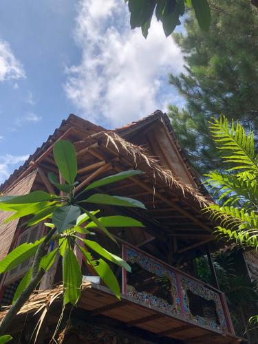 Omah Guyub - carbon neutral hotel in Yogyakarta