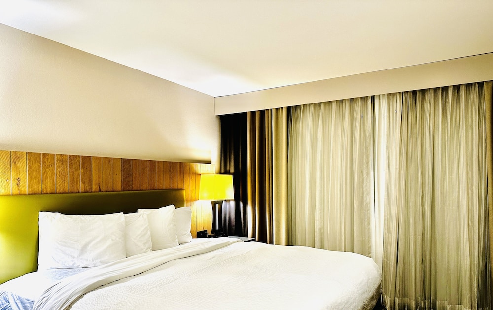Radiant Inn & Suites - photo 6
