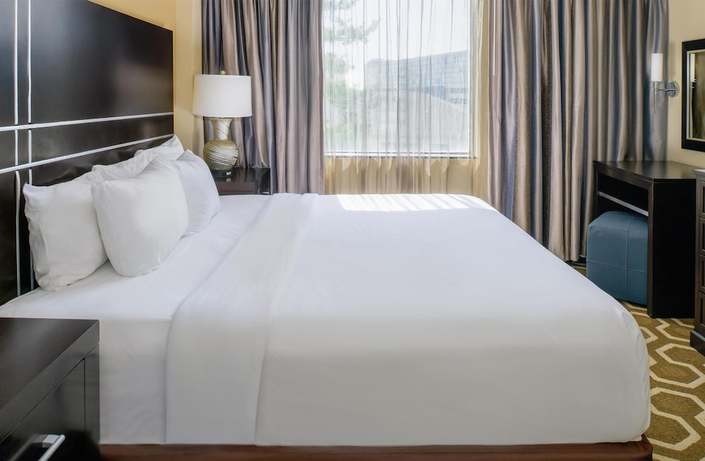 Hampton Inn by Hilton St. Louis Airport - photo 31