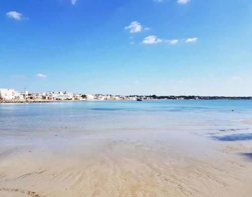 seafront Luxury Belvedere With Panoramic Terrace — Porto Cesareo — photo 3