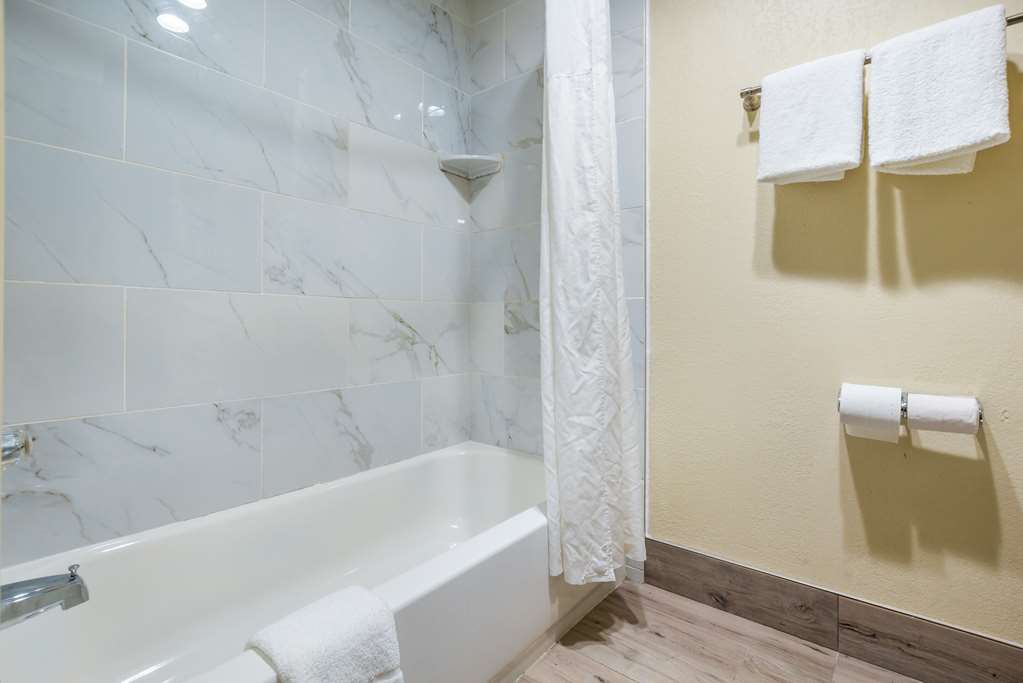 Quality Inn & Suites Florence Cincinnati South - photo 32