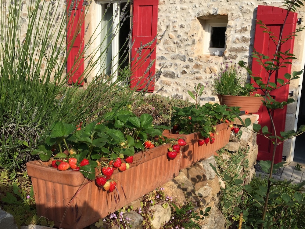 Mas Du Martinet — La Tour — photo 3