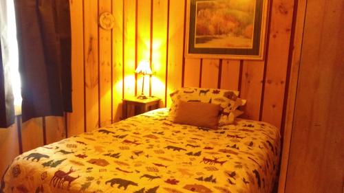 Alpine Motel - photo 5