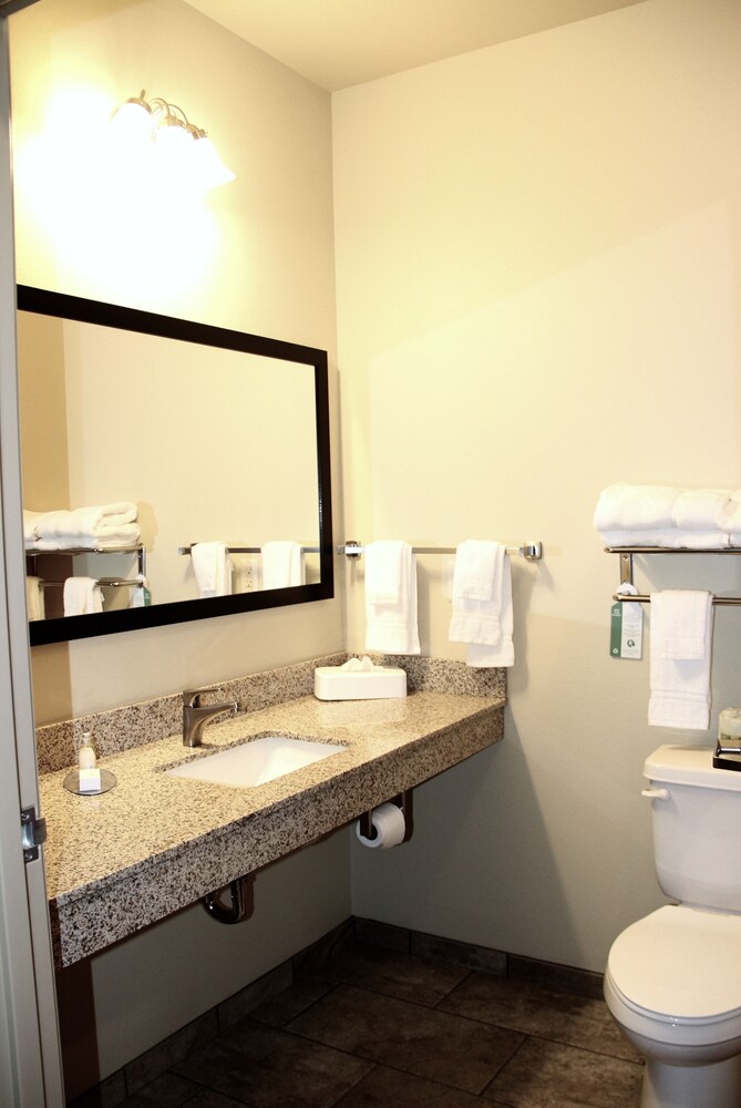 Cobblestone Hotel & Suites Devils Lake - photo 9