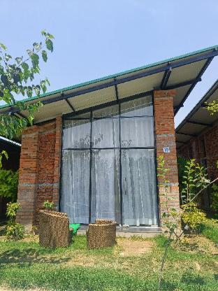 Kalawatigreens — Akbarpur — photo 3
