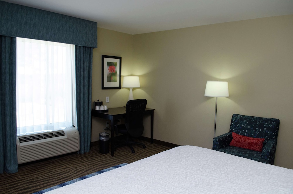 Hampton Inn Thomson - photo 8
