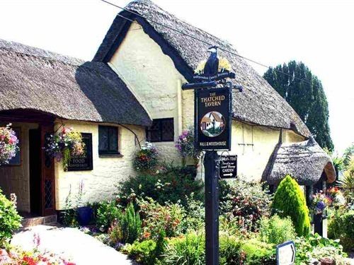 Thatched Tavern in Torquay, United Kingdom