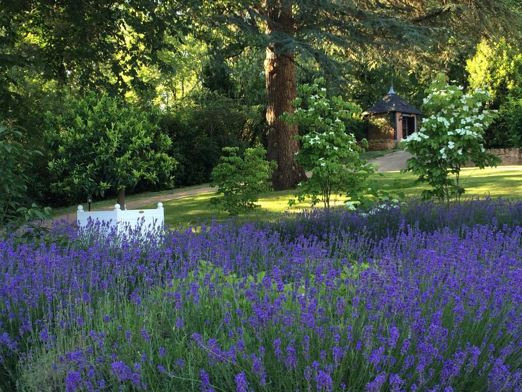 Lalande Laborie — 4-Star Luxury Hotel in None, France
