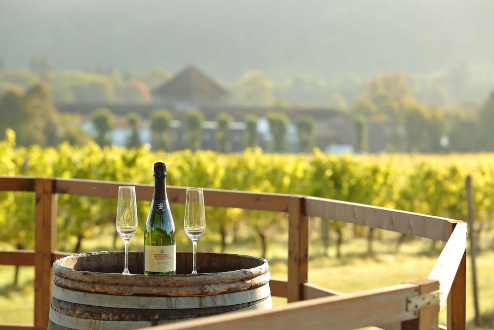 Denbies Vineyard Hotel in Dorking, United Kingdom