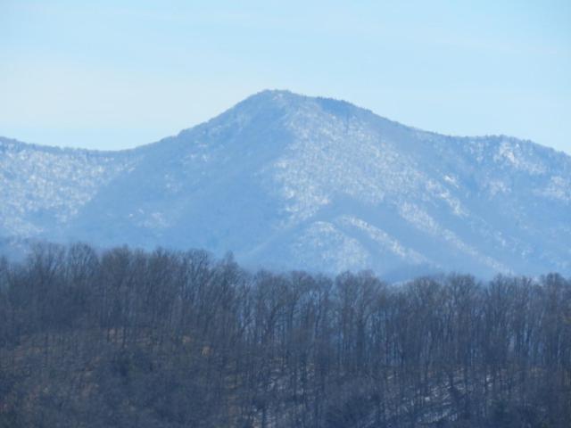 693 Reems Creek 2 Br Home — 4-Star Luxury Hotel in Weaverville, United States