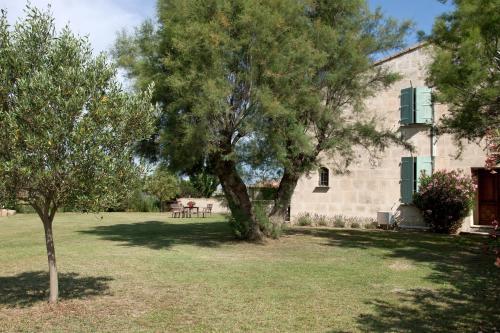 Gîtes Equestres Les Cabanes de Cambon Saintes Maries de la Mer in Saintes-Maries-De-La-Mer, France