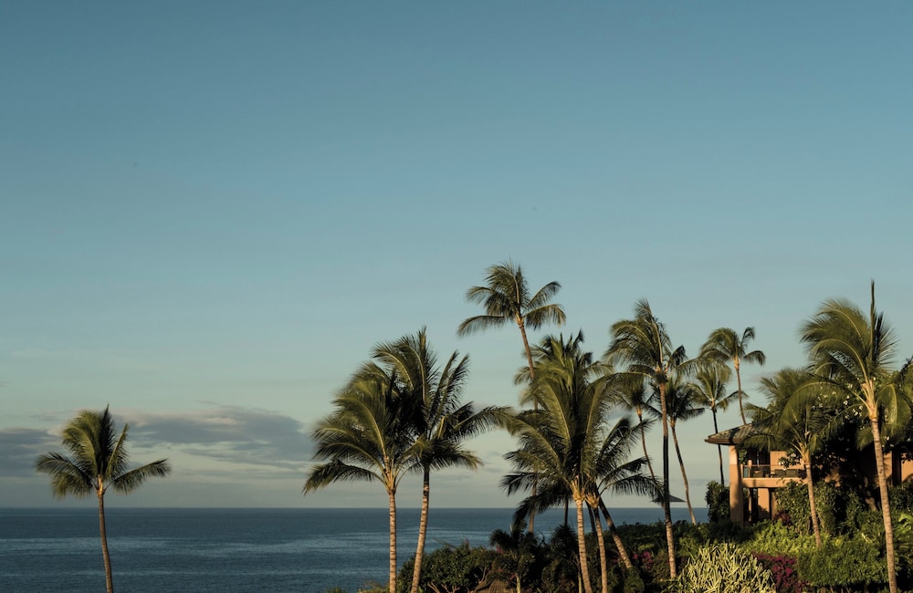 Four Seasons Resort Lanai - photo 140