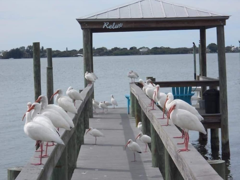 Paradise Cove at Lemon Bay - photo 59