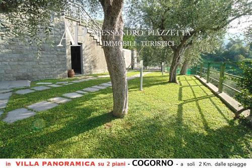 Villa tra gli ulivi bellissima vista panoramica — 4-Star Luxury Hotel in San Salvatore, Italy
