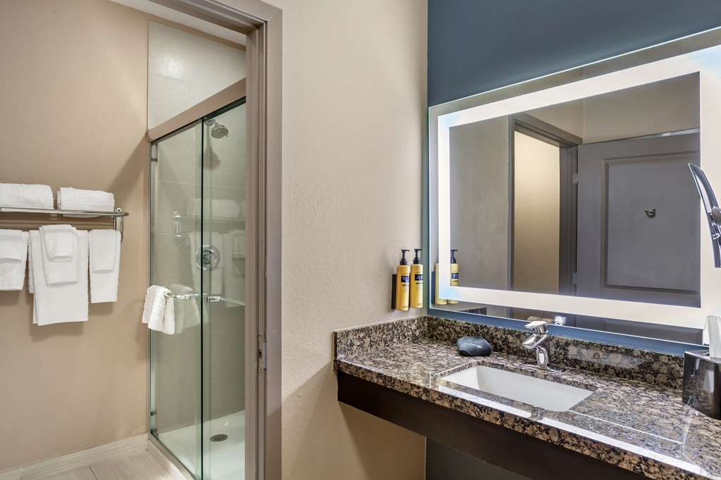 Best Western Plus Lake Jackson Inn & Suites - photo 16