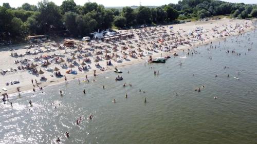 Albatros - last minute hotel in Calarasi