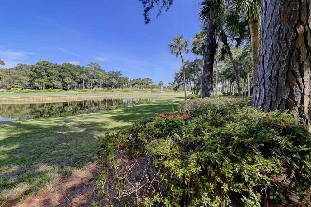 310a Beach Lagoon at the Sea Pines Resort - photo 10