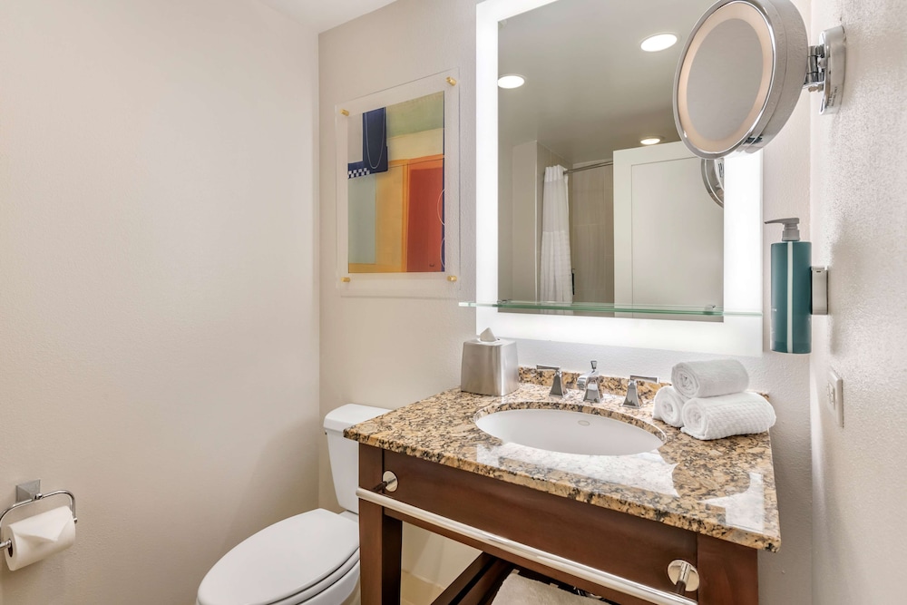 Hilton Grand Vacations Club Las Palmeras Orlando - photo 25