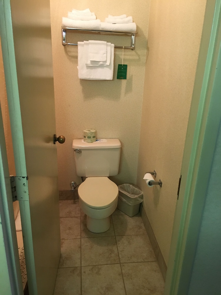 Gold Vault Inn - photo 14