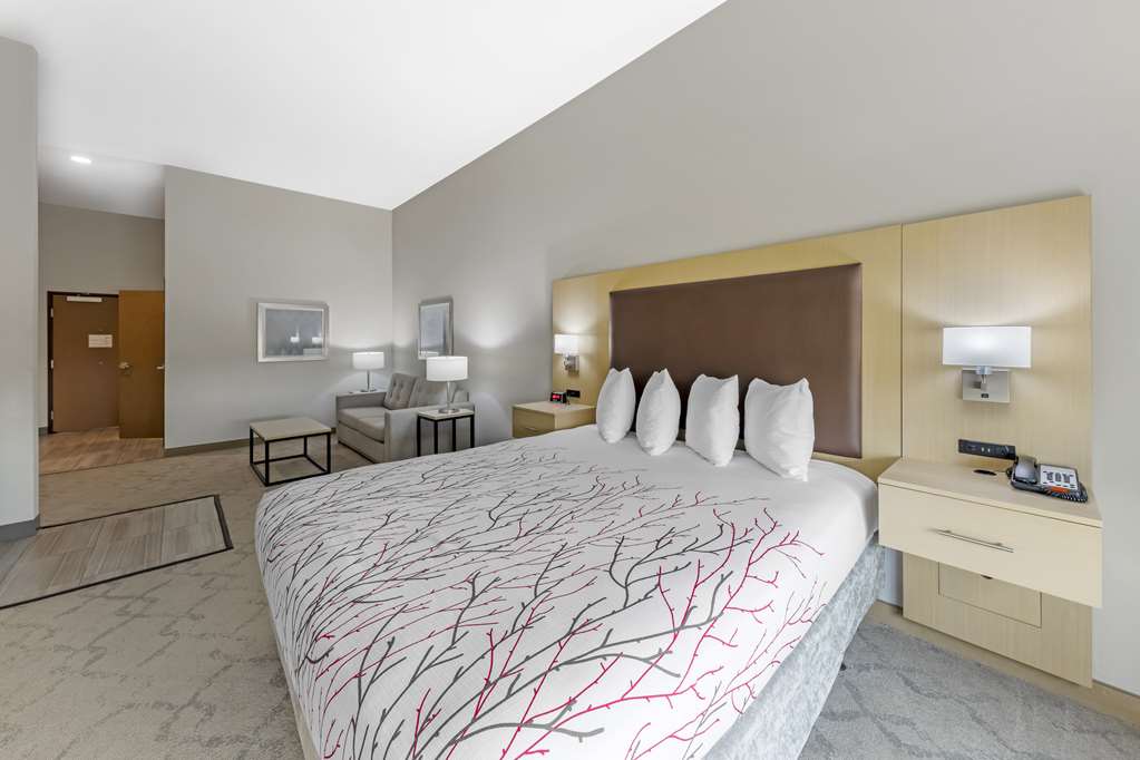 Best Western Plus Chickasha Inn - photo 18