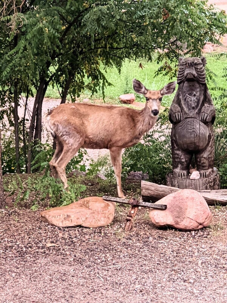 The Green Mountain Falls Lodge - photo 81