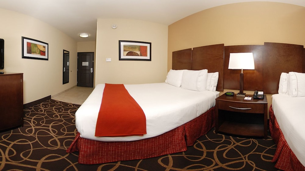 Holiday Inn Express & Suites Houston South near Pearland by IHG - photo 5