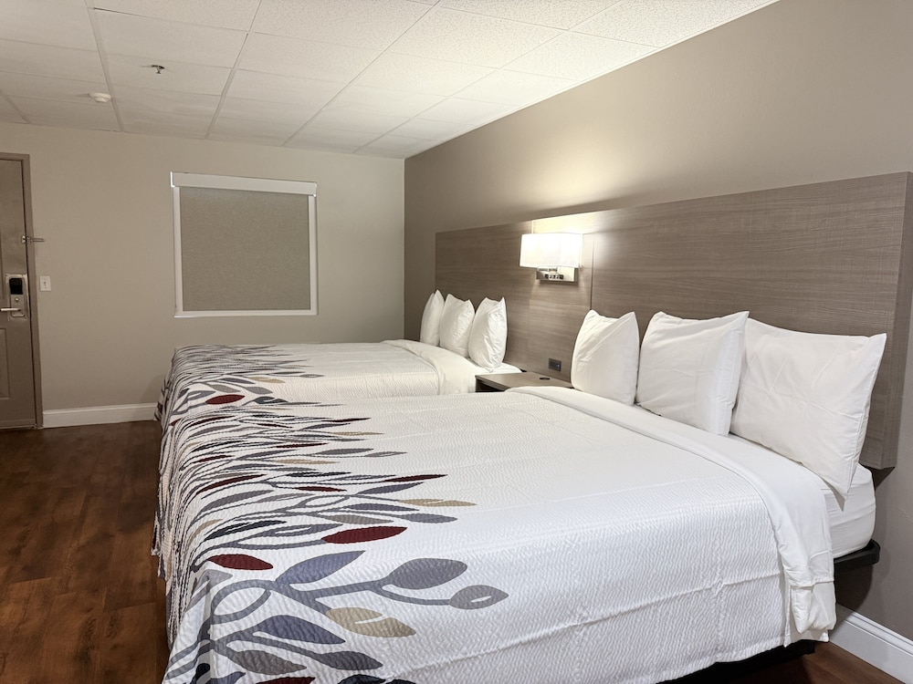 Red Roof Inn & Suites Swansea - photo 13