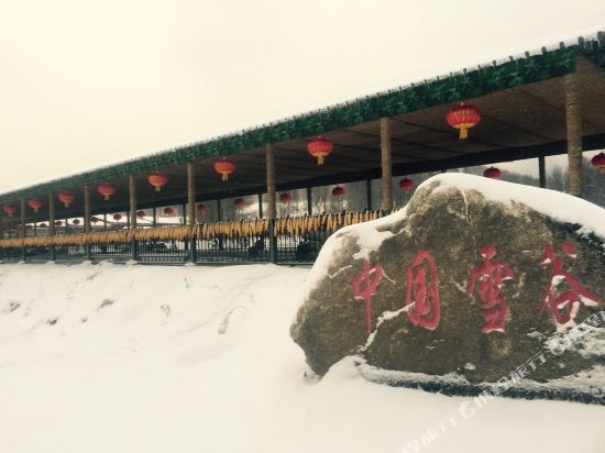 Harbin Snow Valley Jiaxin Resort — hotel in Wuchang