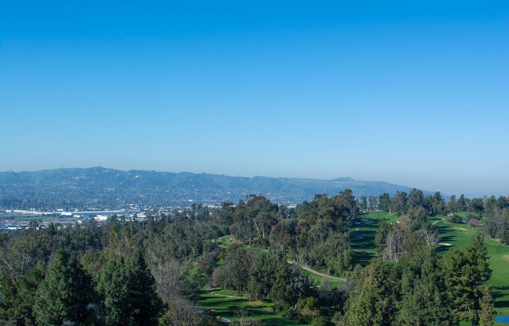 Pacific Palms Resort - photo 8