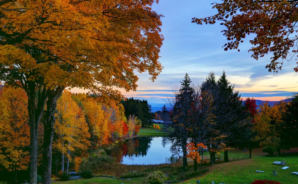 Edson Hill - photo 107