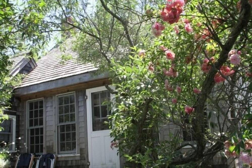 Lis Sur Mer - photo 25