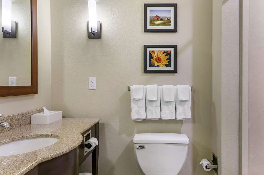 Comfort Suites Helena Airport - photo 7
