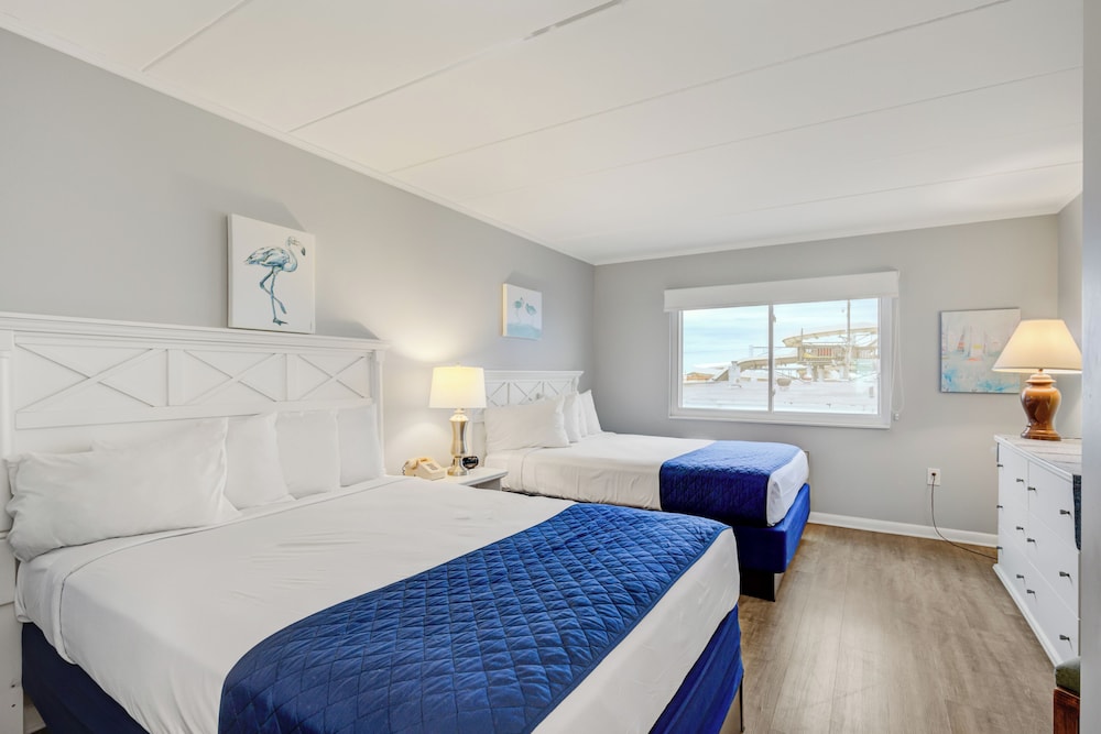 Ocean 7 - photo 36