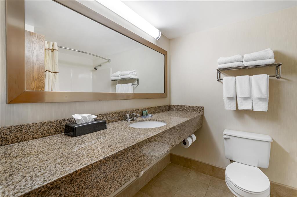 Best Western Royal Plaza Hotel & Trade Center - photo 34