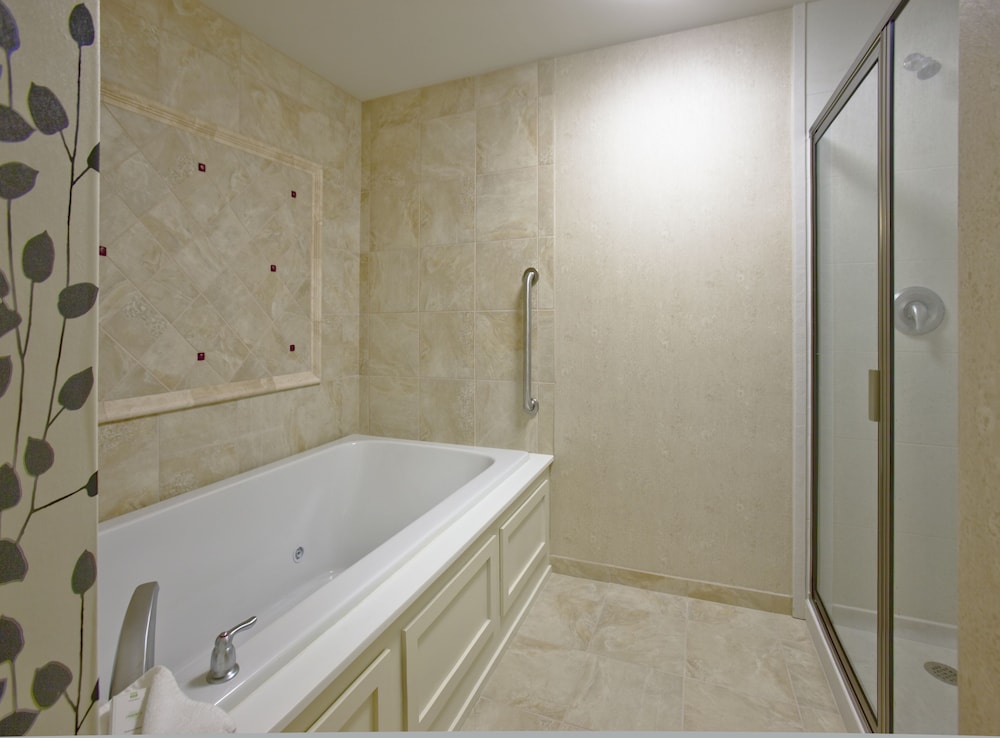 Embassy Suites Buffalo - photo 29