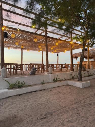 Jungle Gili Air in Gili Air, Indonesia