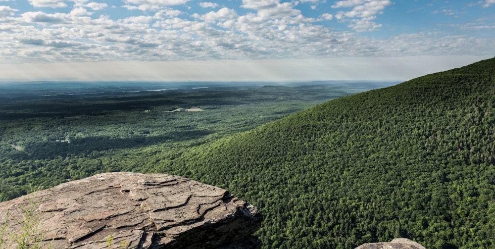 AutoCamp Catskills - photo 41