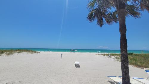 Beach Front One Bedroom Condo Paradise. Ground Floor. — 4-Star Luxury Hotel in Longboat Key, United States