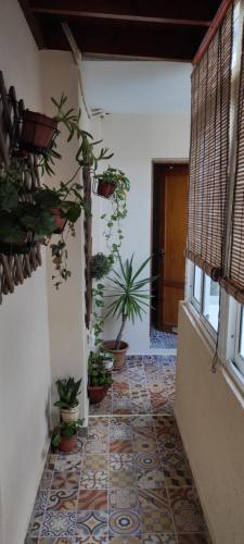 Atico El Marquito — hotel in Santa Cruz De La Palma