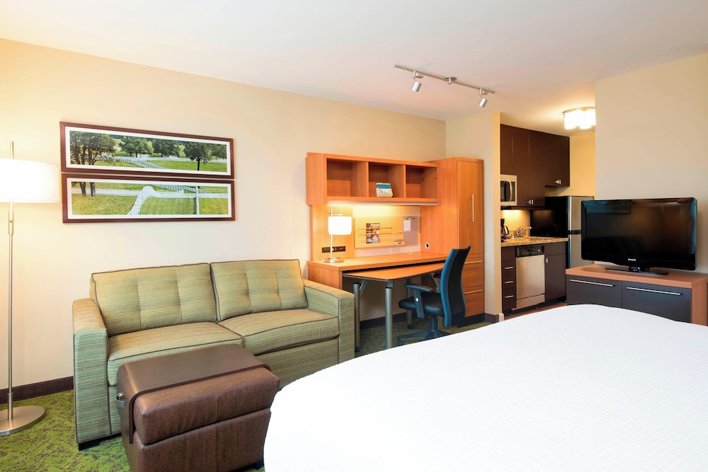 TownePlace Suites by Marriott Lexington South Hamburg Place - photo 10