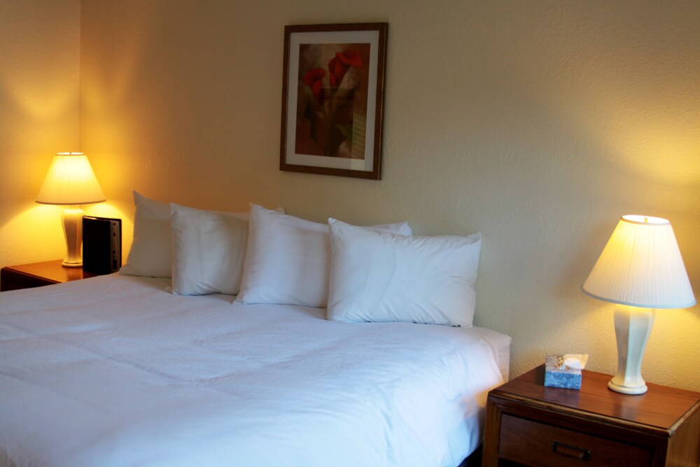 The Driftwood Hotel - photo 8