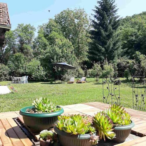 Fruškogorska kuća Andrevlje lounge naselje Testera in Vrbas, Serbia