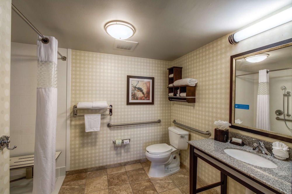 Hampton Inn & Suites Detroit Airport Romulus - photo 17