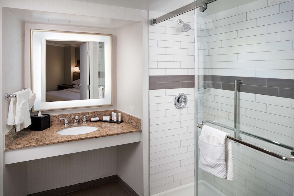 Embassy Suites by Hilton Tysons Corner - photo 15