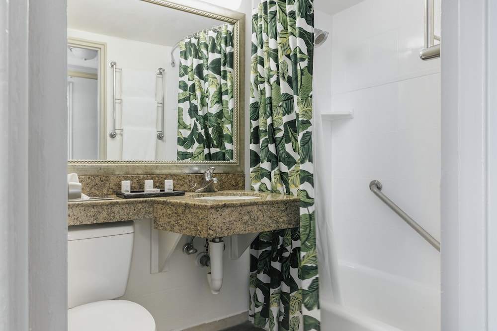 Holiday Inn Port of Miami Downtown Hotel - photo 36
