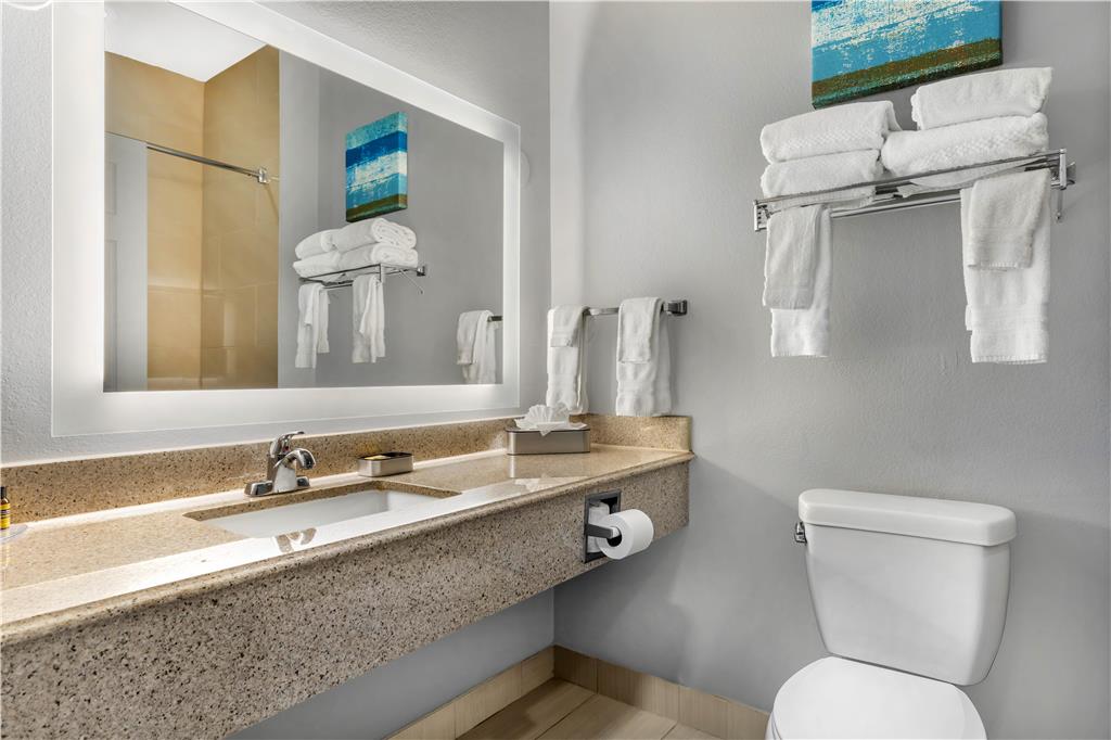 Best Western Plus Fort Worth Forest Hill Inn & Suites - photo 32